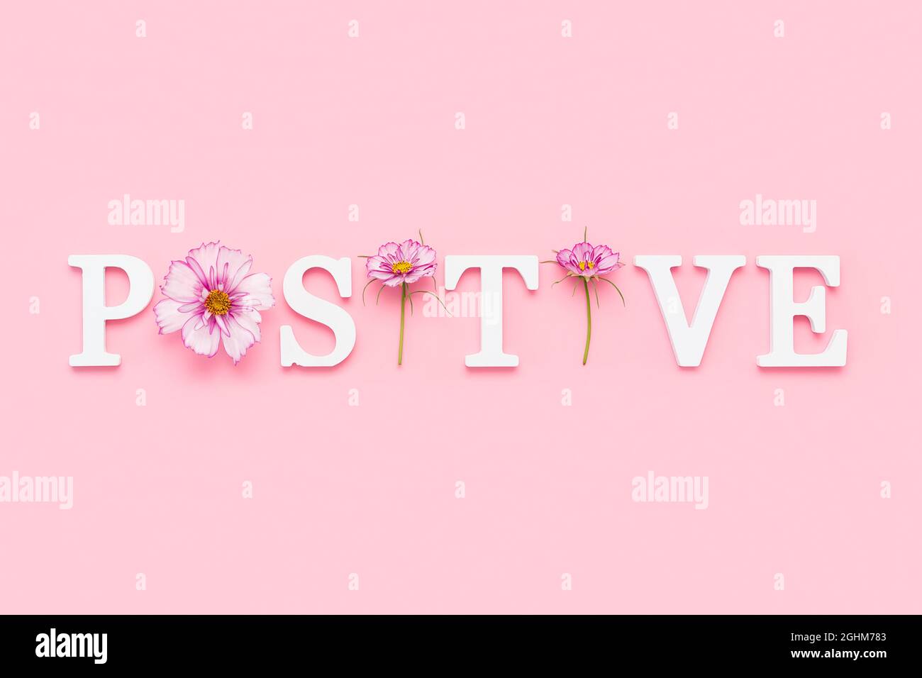 Positive. Motivational quote from white letters and beauty natural flowers on pink background. Creative concept inspirational quote of the day. Stock Photo