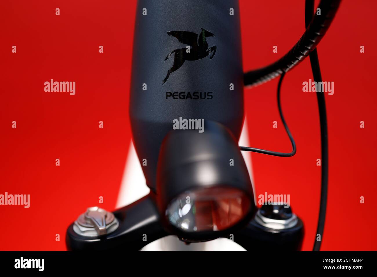 Close up detail of a Pegasus e-bike during the Munich Auto Show, IAA  Mobility 2021, in Munich, Germany, September 7, 2021. REUTERS/Michaela  Rehle Stock Photo - Alamy