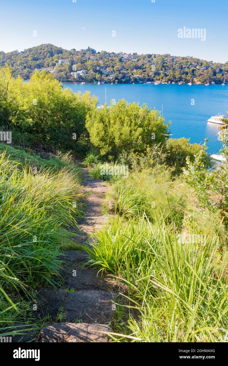 A path leading down to Peach Tree Bay from Burabru Reserve in the Sydney suburb of Castle Crag. The bay forms part of Sydney Harbour Stock Photo
