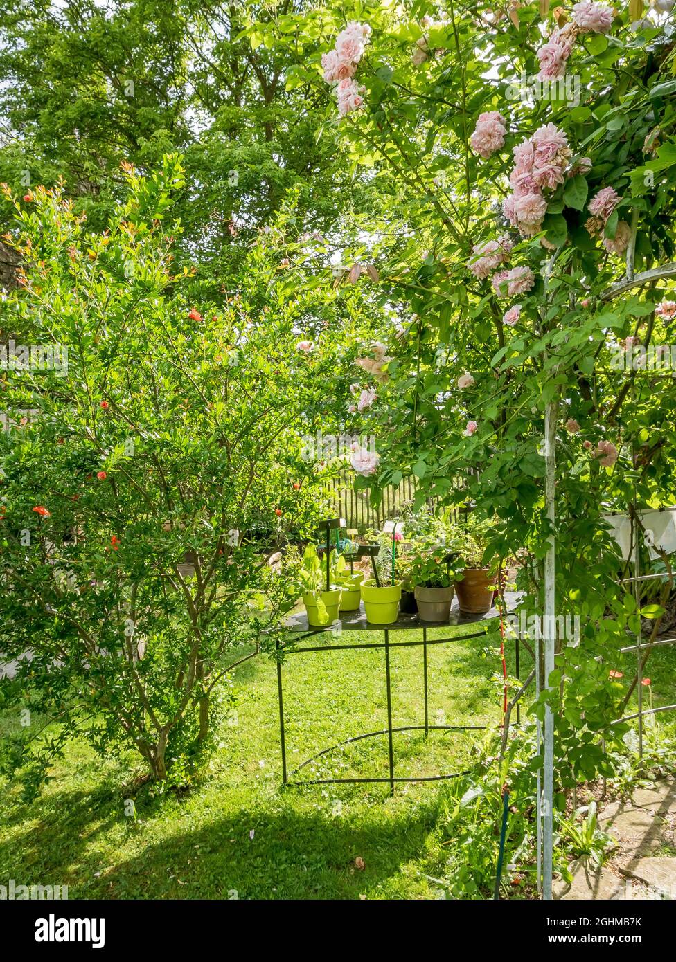 Potager, Jardin Insolite, Parc Floral Vincennes, Paris, France Stock Photo