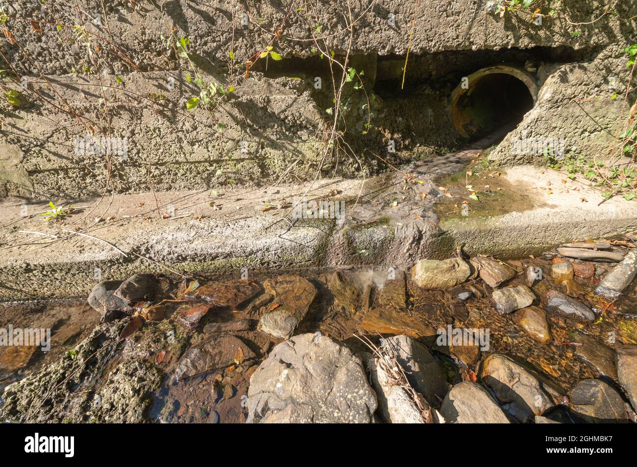 Grey sewage fungus growing at mouth of outflow pipe into stream that