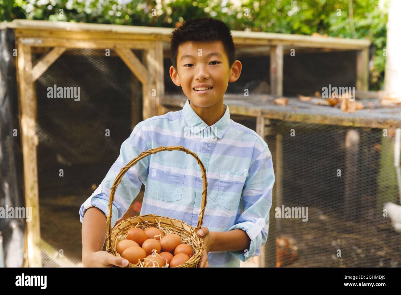 Portrait of asian boy smiling and holding basket, collecting eggs from hen house in garden Stock Photo