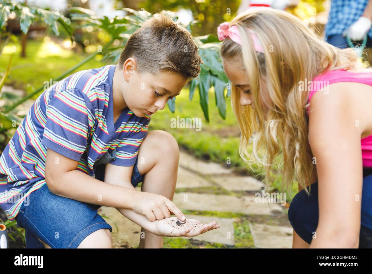Caucasian brother and sister working in garden and exploring nature Stock Photo