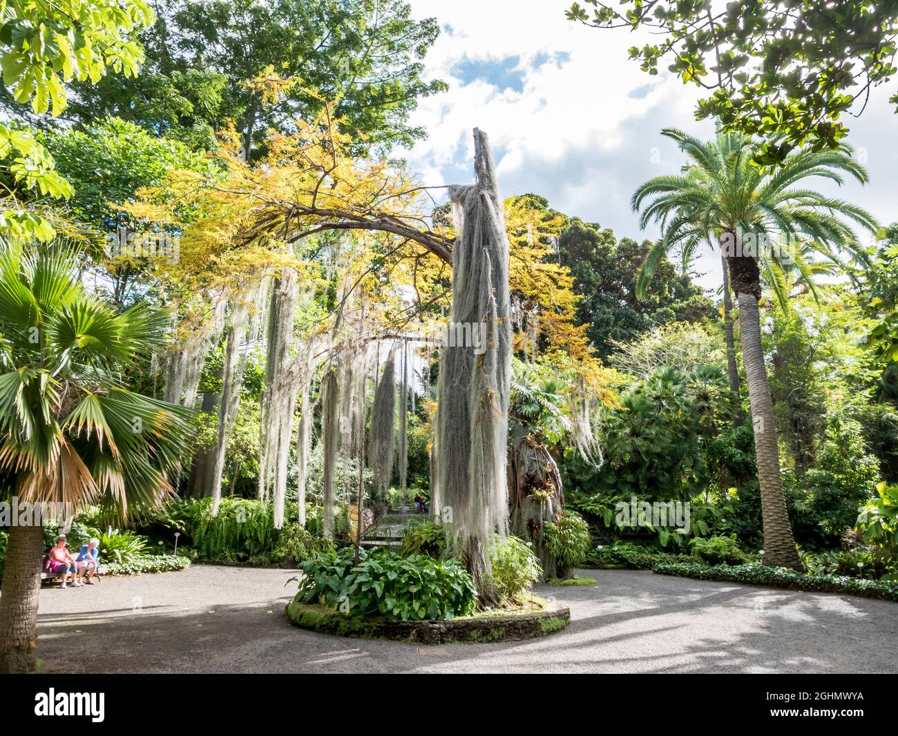 Foto de Jardín de Aclimatación de La Orotava en La Orotava, Santa Cruz de Tenerife