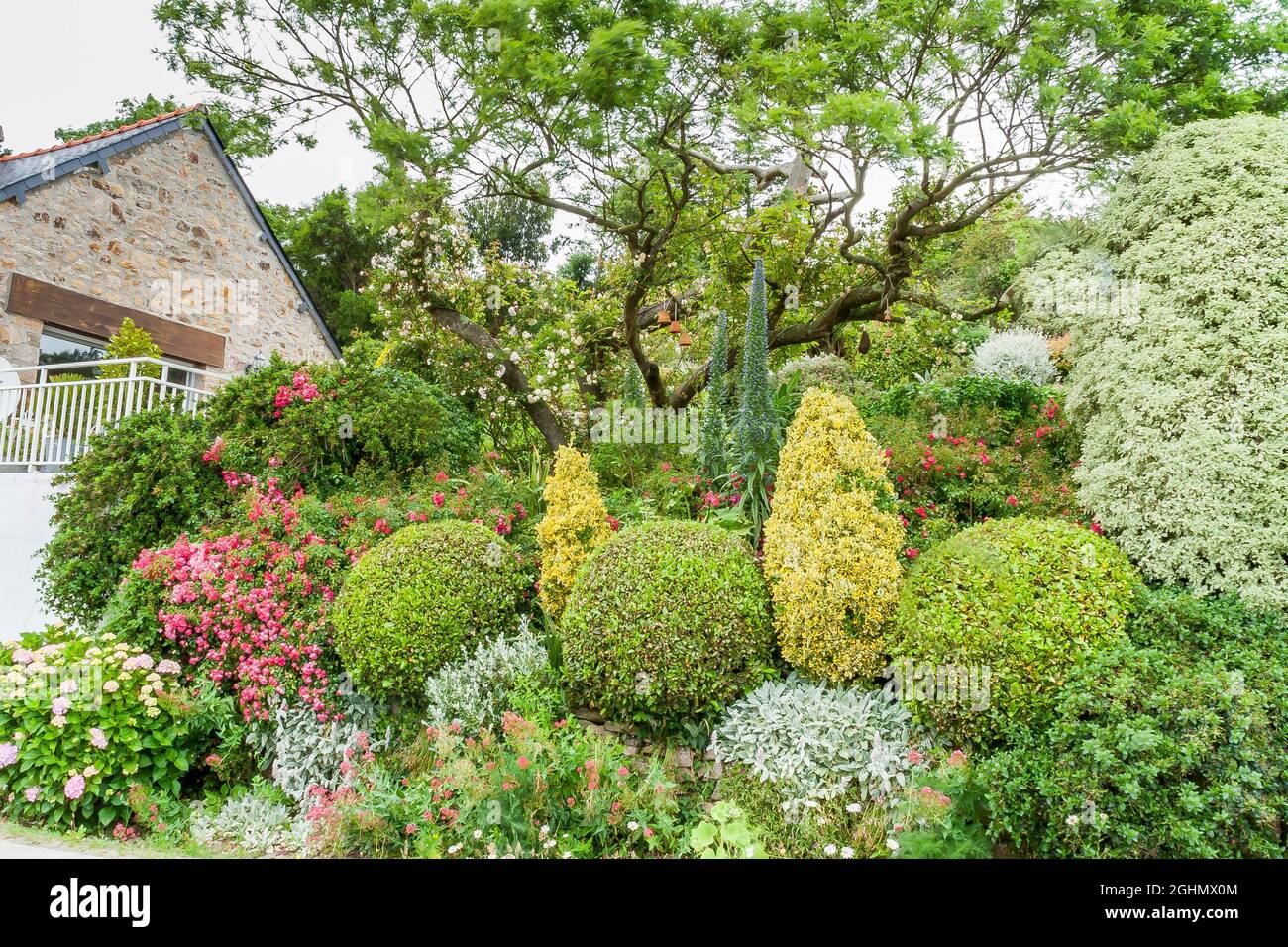 Jardin prive de Roscanvel, Peninsule de Crozon, Finistere, France Stock Photo