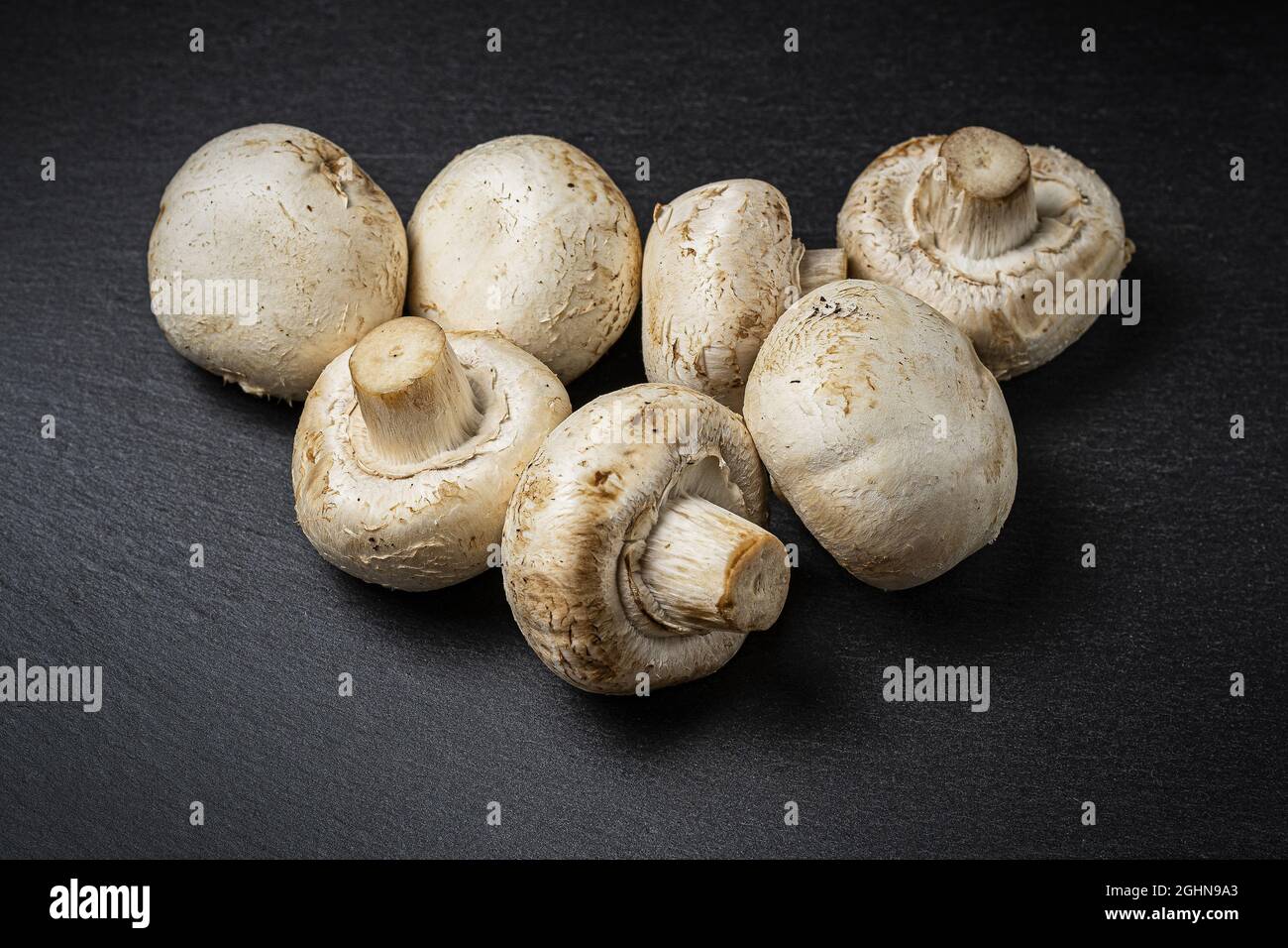 Closeup view of whole champignon mushrooms isolated on a black background Stock Photo