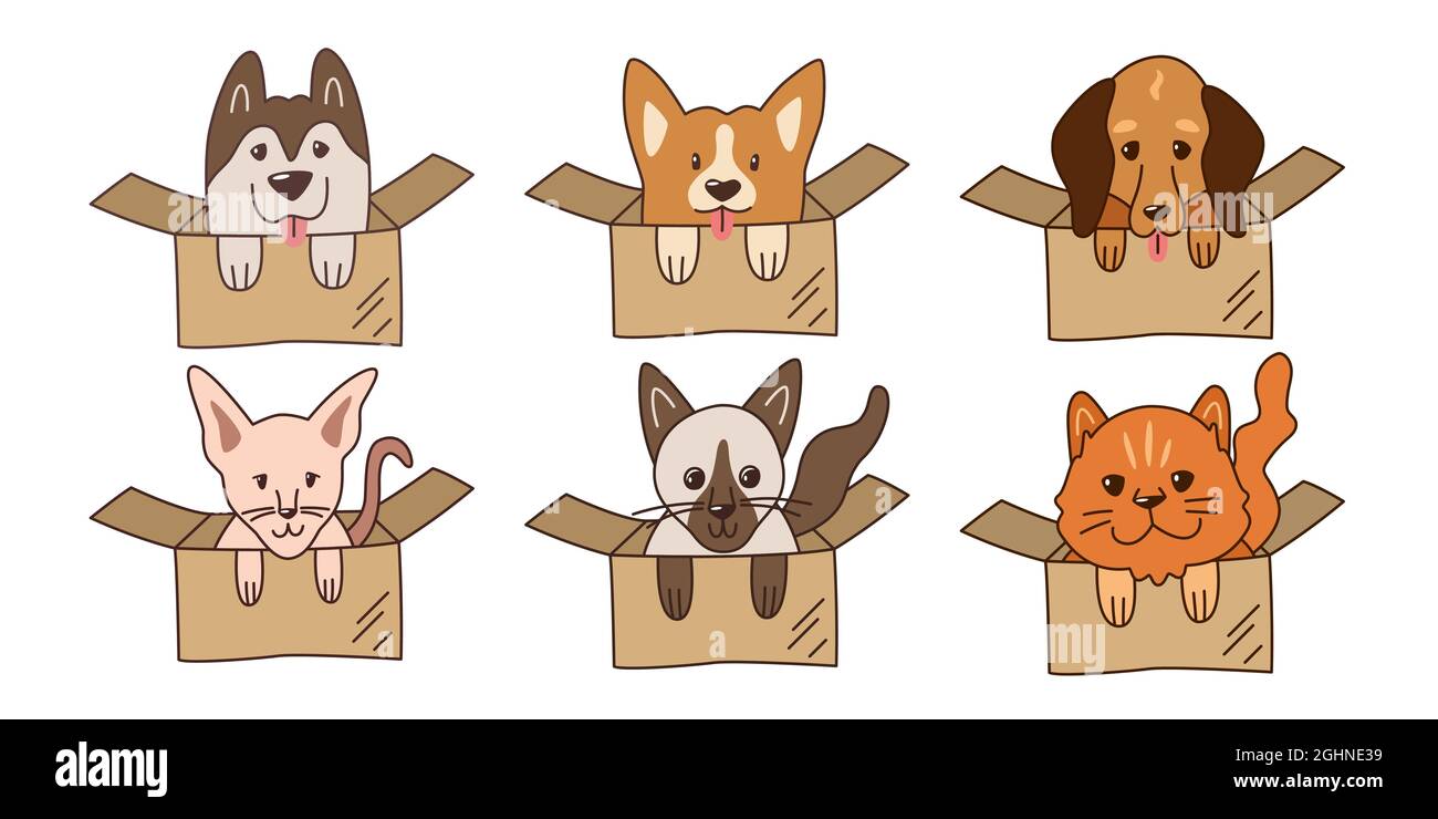Set of cute kawaii pets in cardboard boxes. Different breeds of dogs and cats. Simple illustration for logo, emblem, sticker, label. Shelter for stray Stock Vector