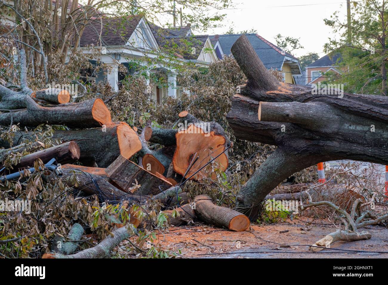 NEW ORLEANS, LA, USA - SEPTEMBER 6, 2021: Fallen and cut trees from Hurricane Ida on Plum Street in Uptown Neighborhood Stock Photo