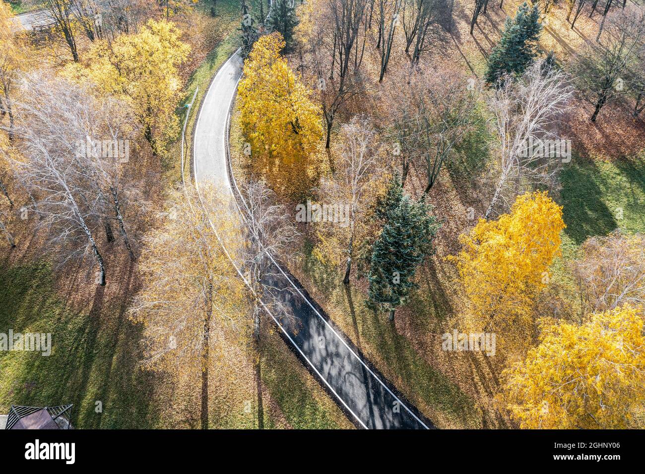 curved bicycle lane surrounded by colorful yellow trees in autumn park. view from the top with drone. Stock Photo