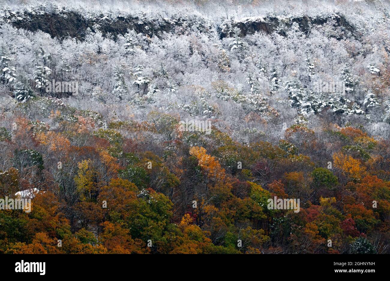 Talcott Mountain in Simsbury, CT, is coated with snow at a definite elevation with autumn colors on the lower mountain on October 30, 2020. Stock Photo