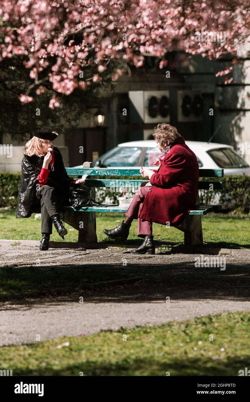 Two old ladies sitting in a park eating ice cream under a pink Japanese tree Stock Photo