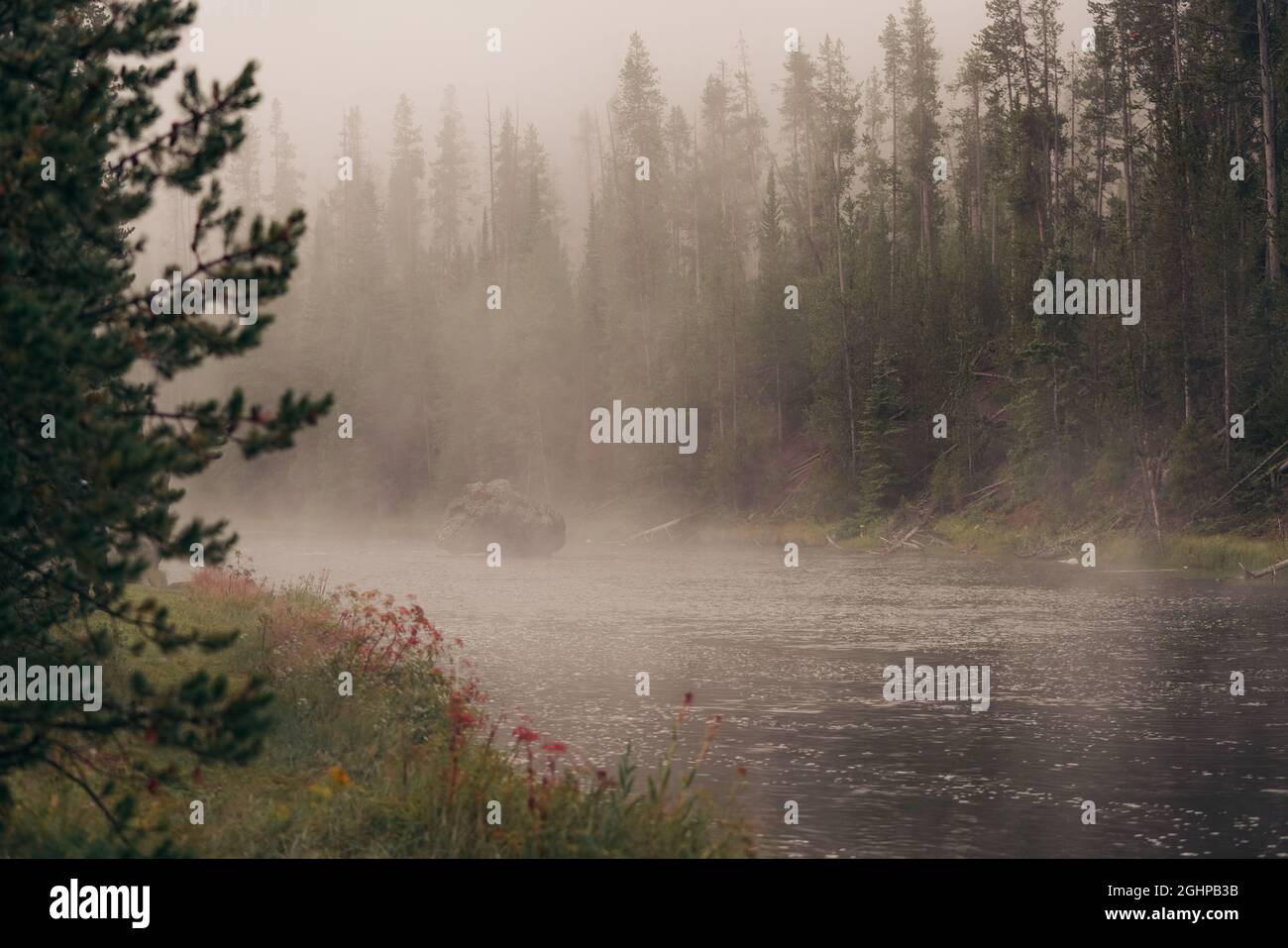 Yellowstone National Park Stock Photo