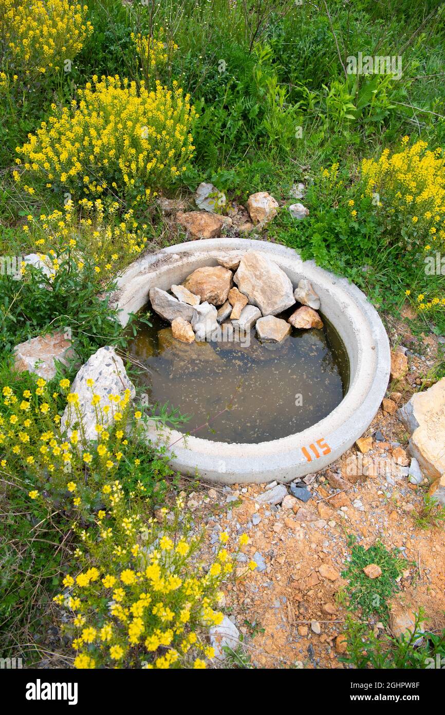 Amphibian spawning waters created in the protected area, subsequent landscape in former quarry, EU Life Project Stepping Stone Biotopes Amphibian Stock Photo