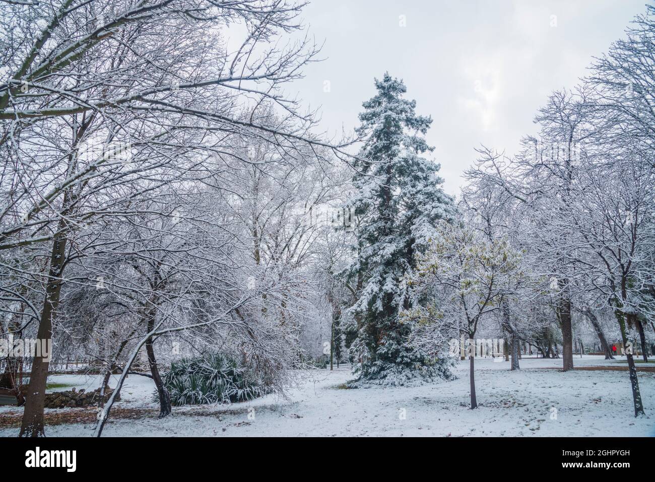 Snow covered Retiro park. Madrid, Spain. Stock Photo