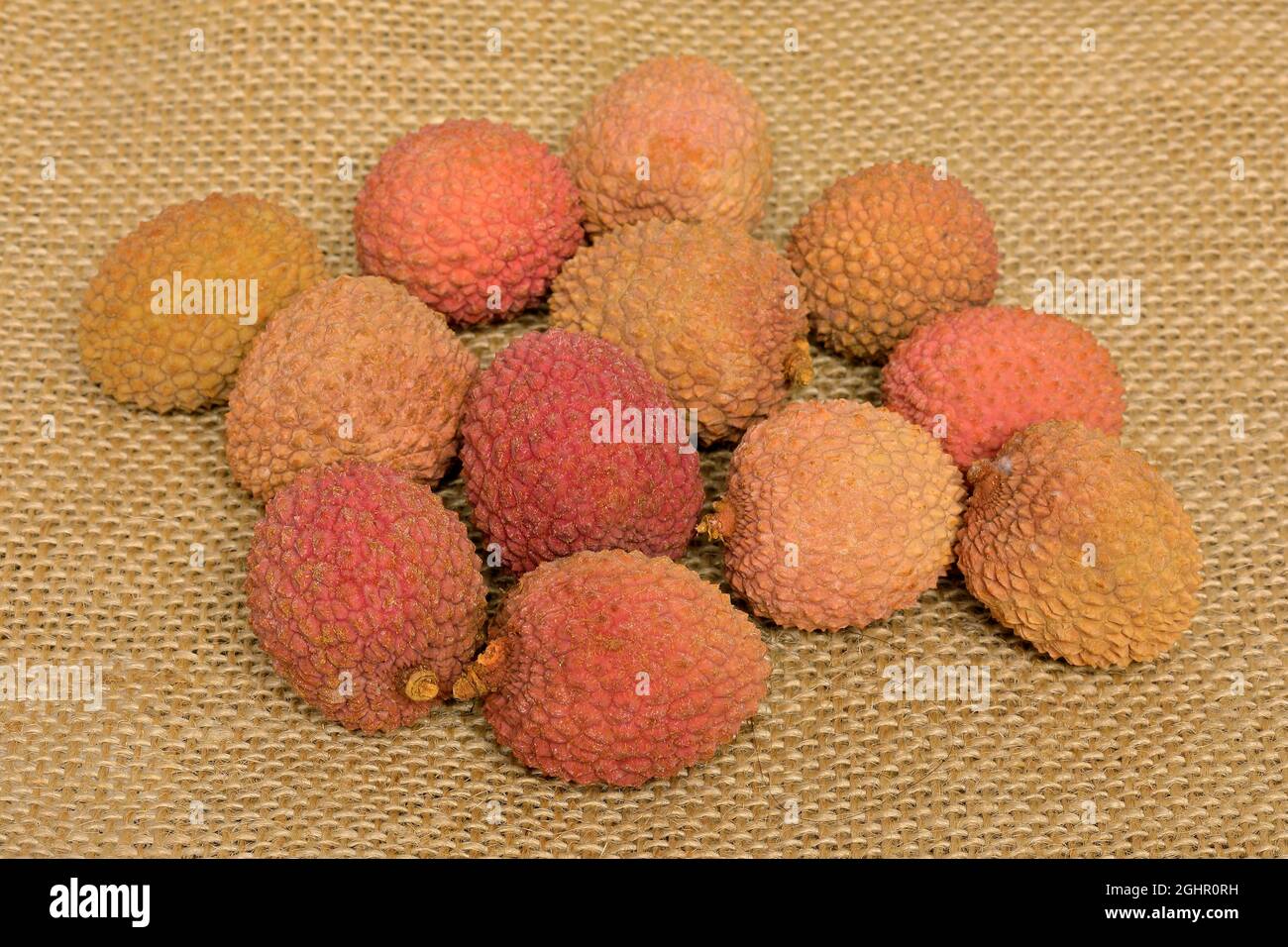 Lychee (Litchi chinensis), lychee, Chinese hazelnut, lychee plum, love fruit, fruit, fruit, Elllerstadt, Germany Stock Photo