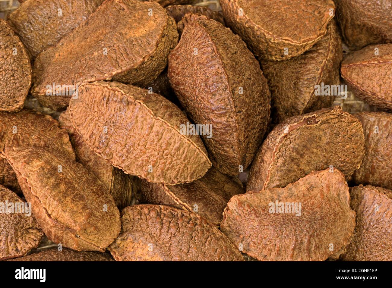 Brazil nut (Bertholletia excelsa), fruits, nuts, with shell, unshelled