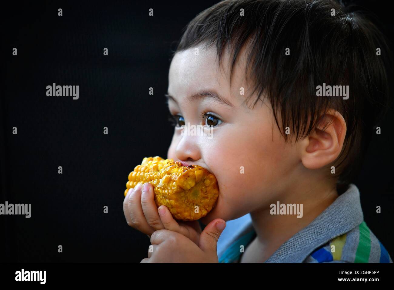 Toddler, 2 years, multiethnic, eurasian, portrait, eating grilled corn on the corn cob, Stuttgart, Baden-Wuerttemberg, Germany Stock Photo