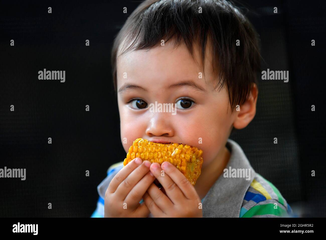 Toddler, 2 years, multiethnic, eurasian, portrait, eating grilled corn on the corn cob, Stuttgart, Baden-Wuerttemberg, Germany Stock Photo