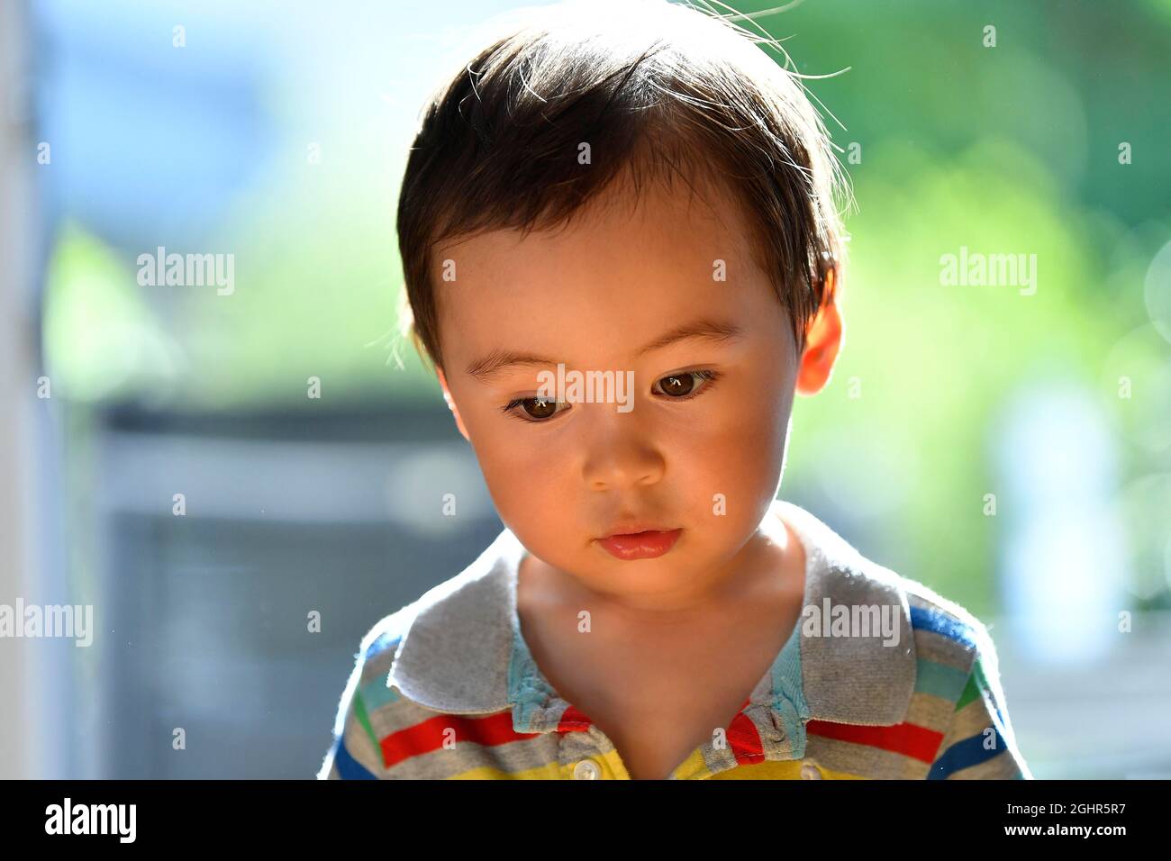 Toddler, 2 years, multiethnic, eurasian, portrait, thoughtful, Stuttgart, Baden-Wuerttemberg, Germany Stock Photo