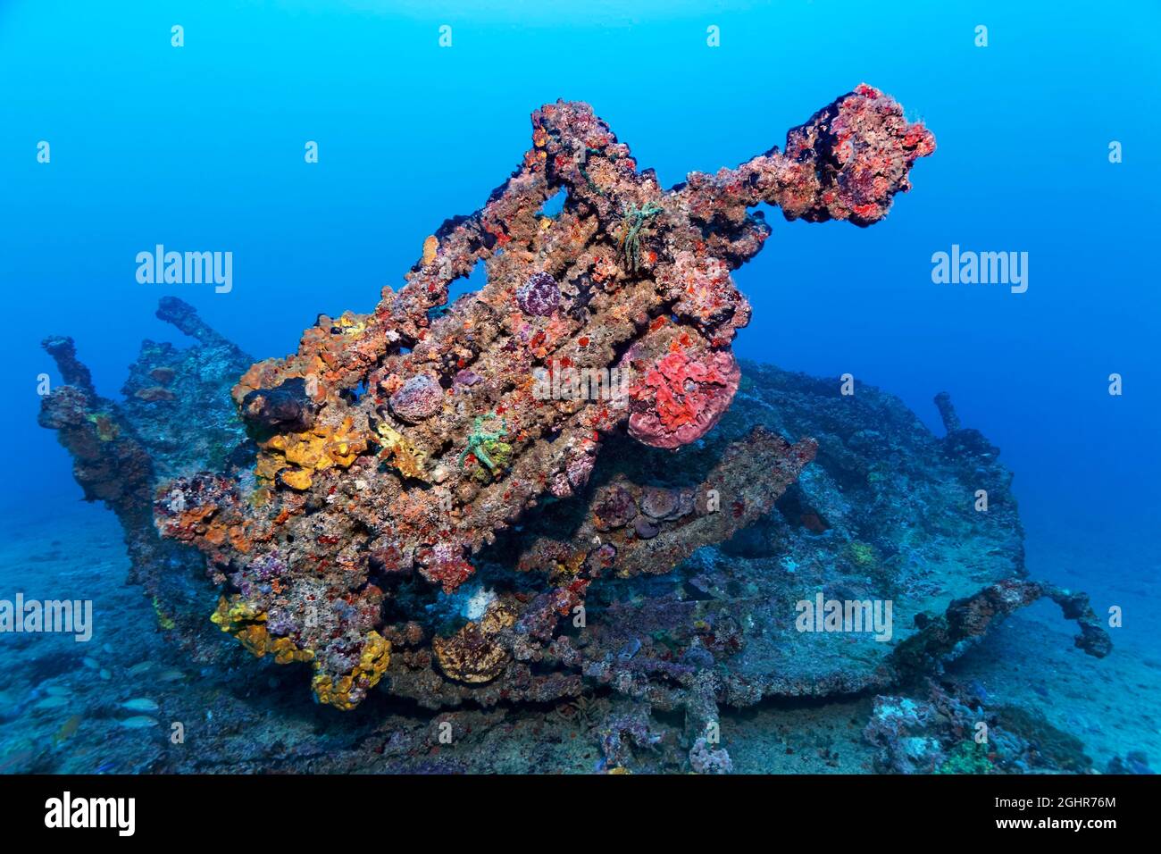 Wreckage and dinghy thickly encrusted with various sponges, tugboat, wreck, shipwreck, Virgen de Altagracia, Caribbean Sea near Playa St. Lucia Stock Photo