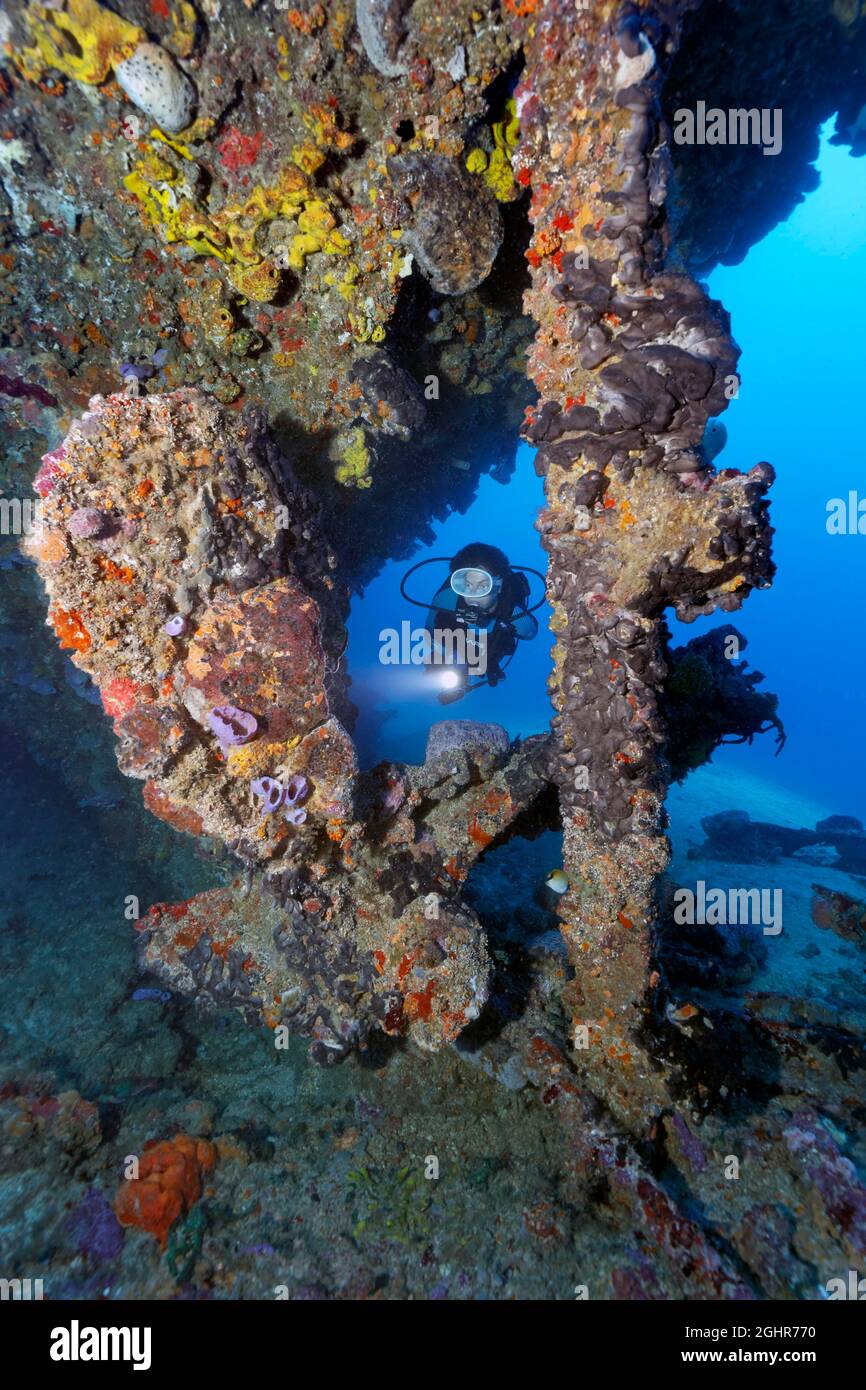 Diver looking at propeller and rudder from the wreck of the Virgen de Altagracia, shipwreck, Caribbean Sea near Playa St. Lucia, Camagueey Province Stock Photo