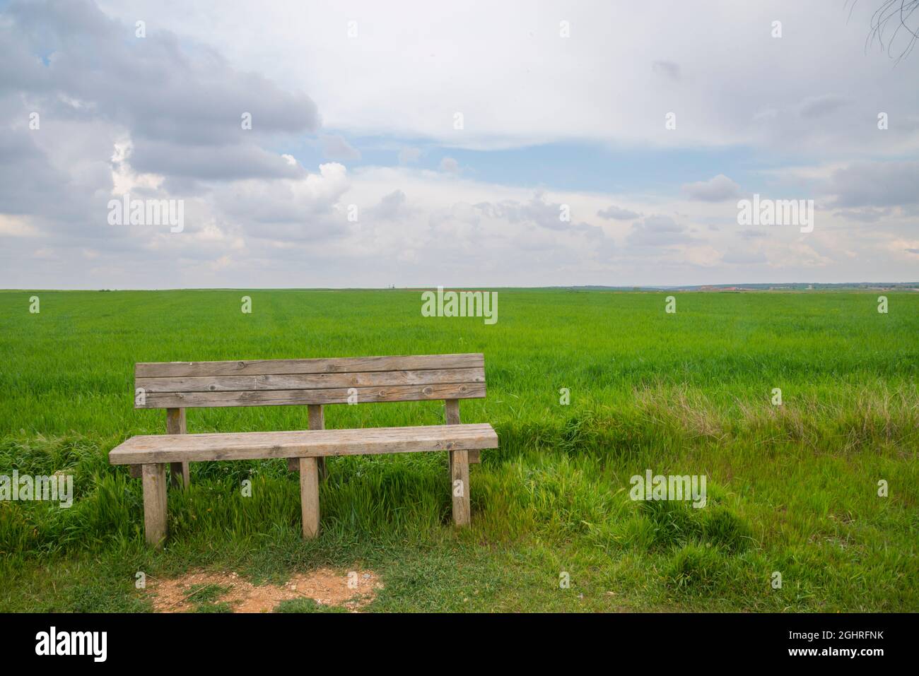 Empty wooden bench in a field. Stock Photo