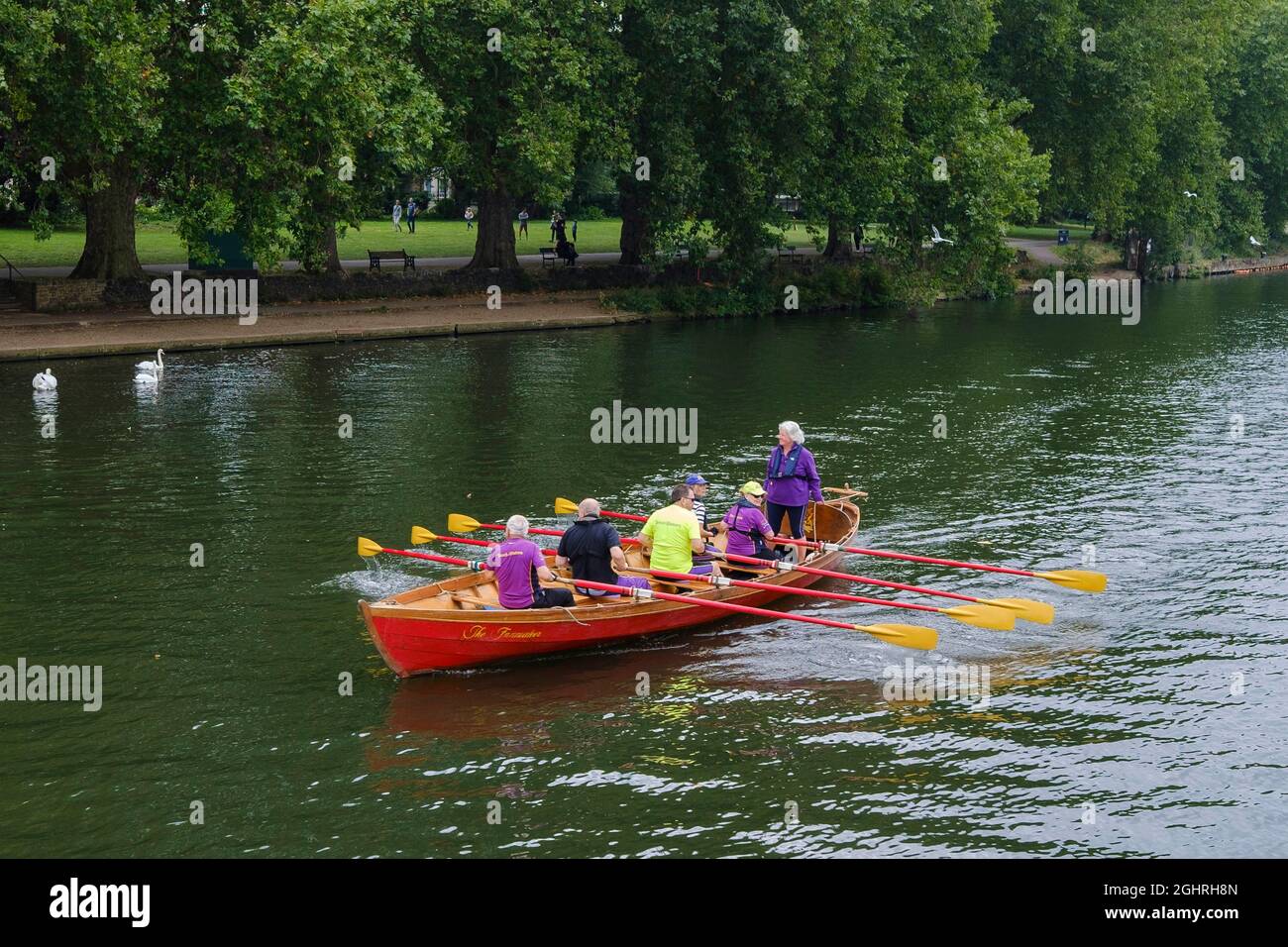 Rowing on the Thames Stock Photo Alamy