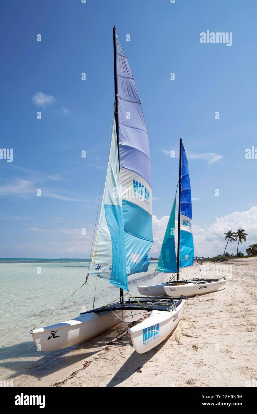 Sandy beach beach with two catamarans, blue sails, sailboats, inscription Marlin Nautica y Marinas, Hobie Cat, lagoon, Hotel Brisas, Playa St. Lucia Stock Photo