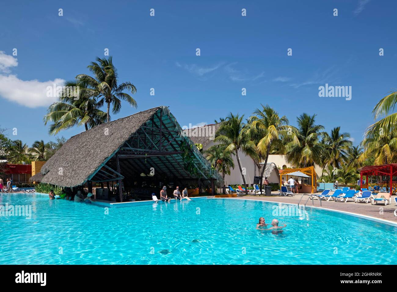 Pool, pool bar with palm leaf roof, coconut palms (Cocos nusifera ...