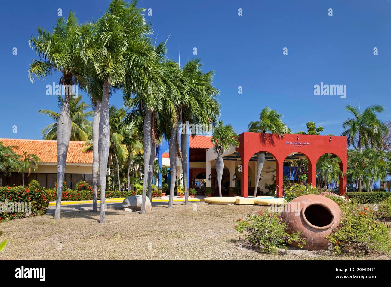 Hotel complex, reception, clay jug, pregnant palms (Colpothrinax wrightii), endemic, garden complex, Hotel Brisas, Playa St. Lucia, Camagueey Stock Photo