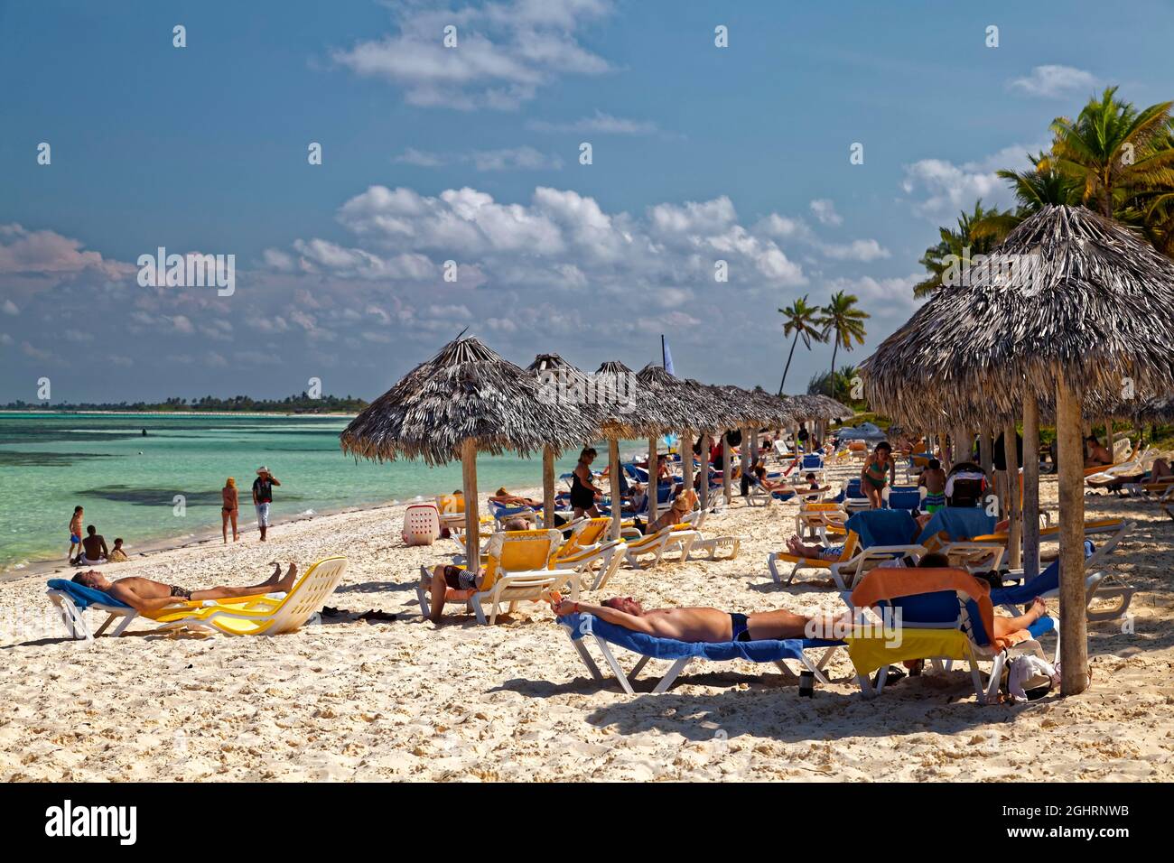 Sandy beach beach, sun loungers, palm-leaf parasols, coconut trees (Cocos nucifera), lagoon, Hotel Brisas, Playa St. Lucia, Camagueey Province Stock Photo