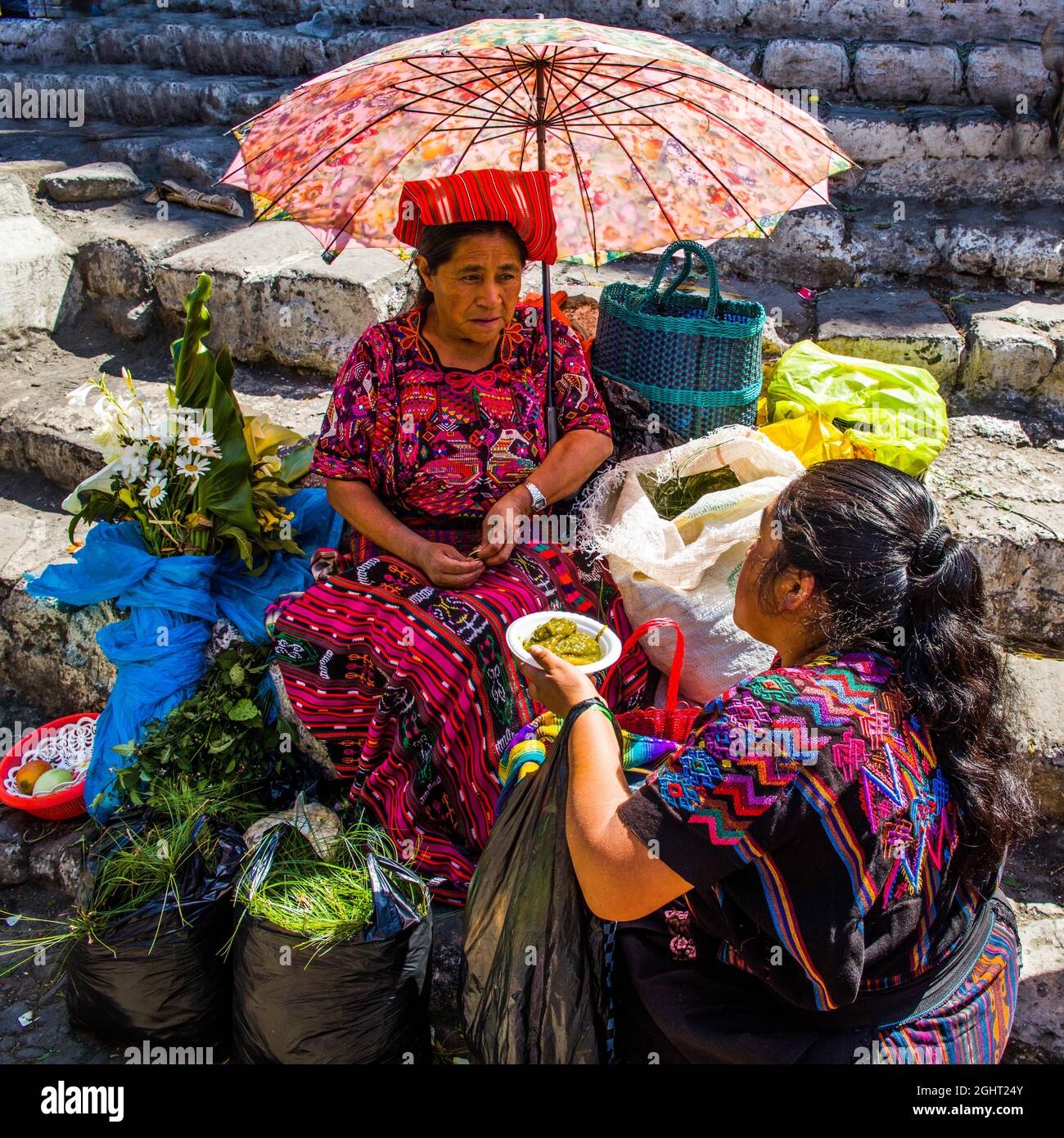 Picturesque rituals and flower offerings on the steps of Santo Tomas ...