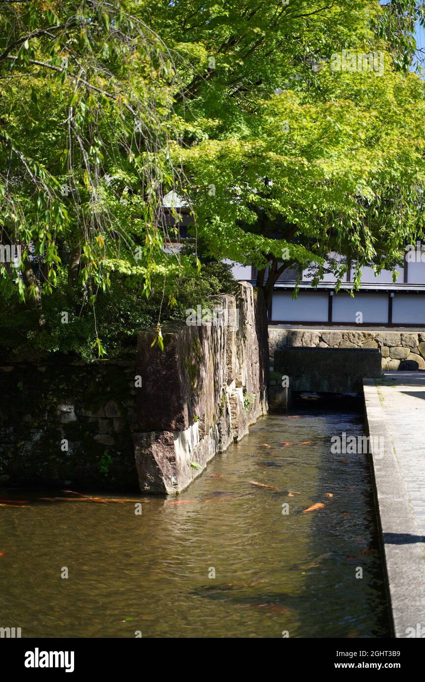 HIda-furukawa, gifu, Japan Stock Photo