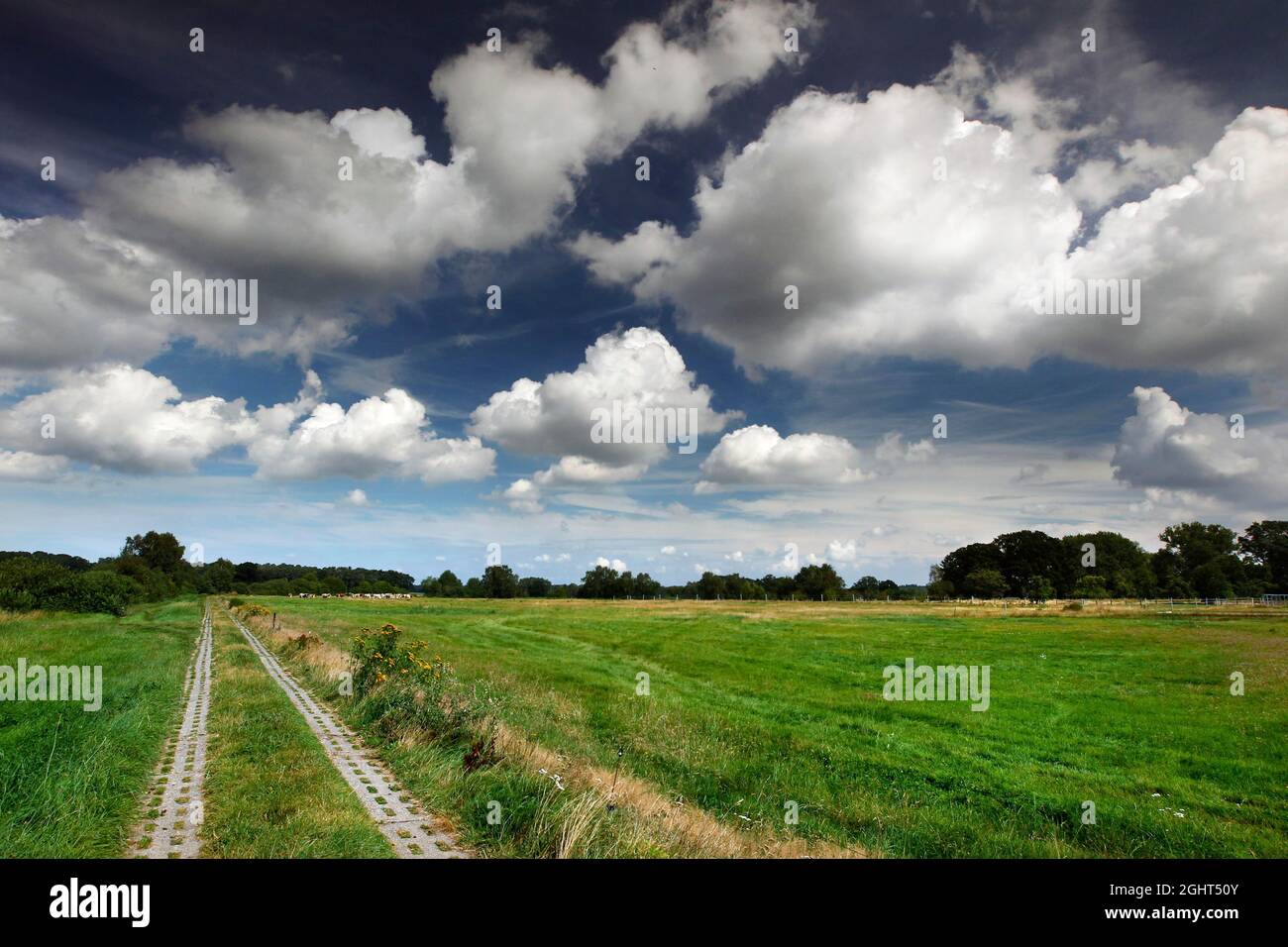 Column path, perforated plate path through forest and meadows, blue sky with white clouds, inner-German border fortification, Green Belt, border Stock Photo