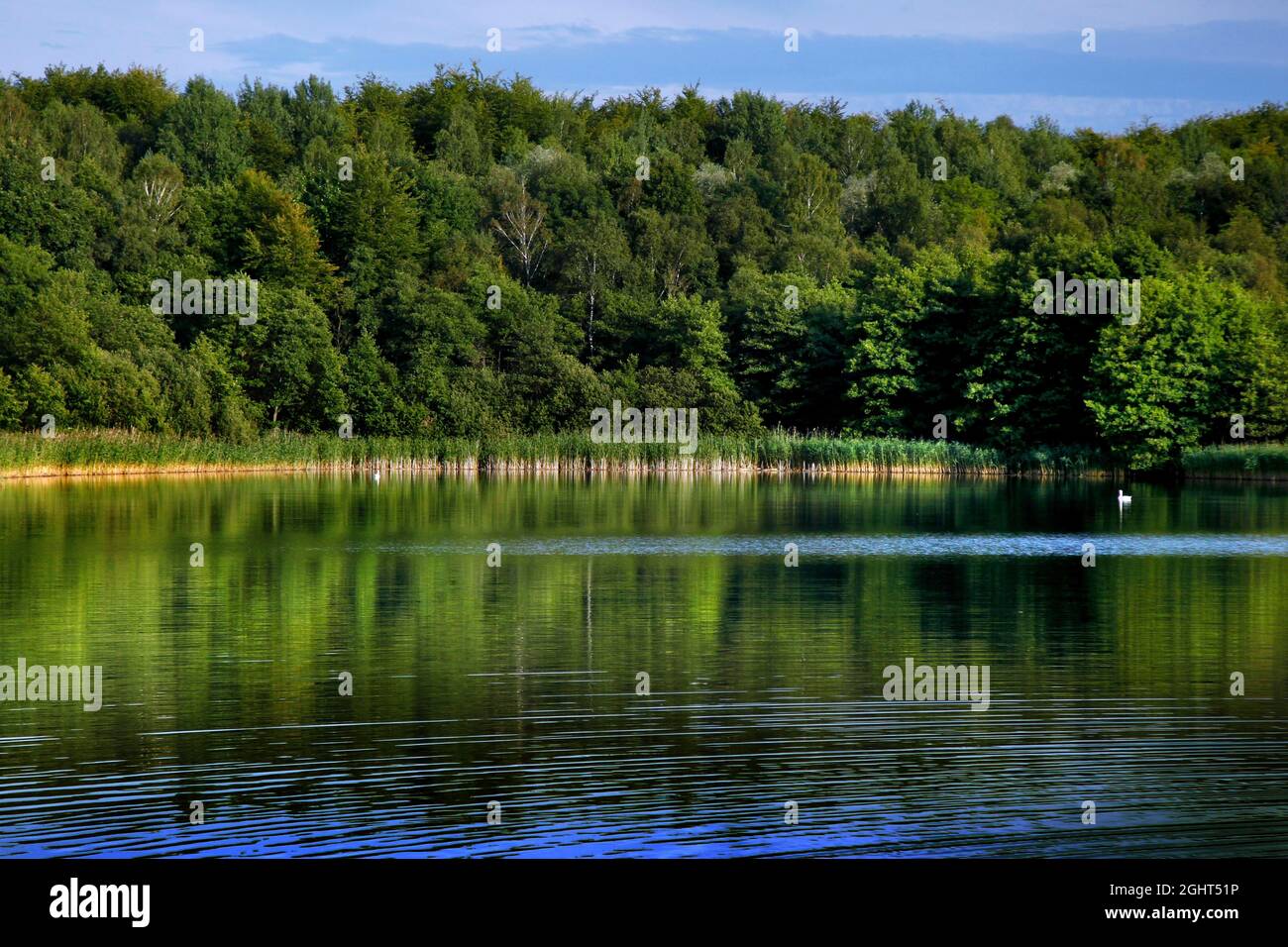 Natural landscape at the Schaalsee, UNESCO biosphere reserve, island, Kolonnenweg, Lochplattenweg, inner German border installation, Gruenes Band Stock Photo