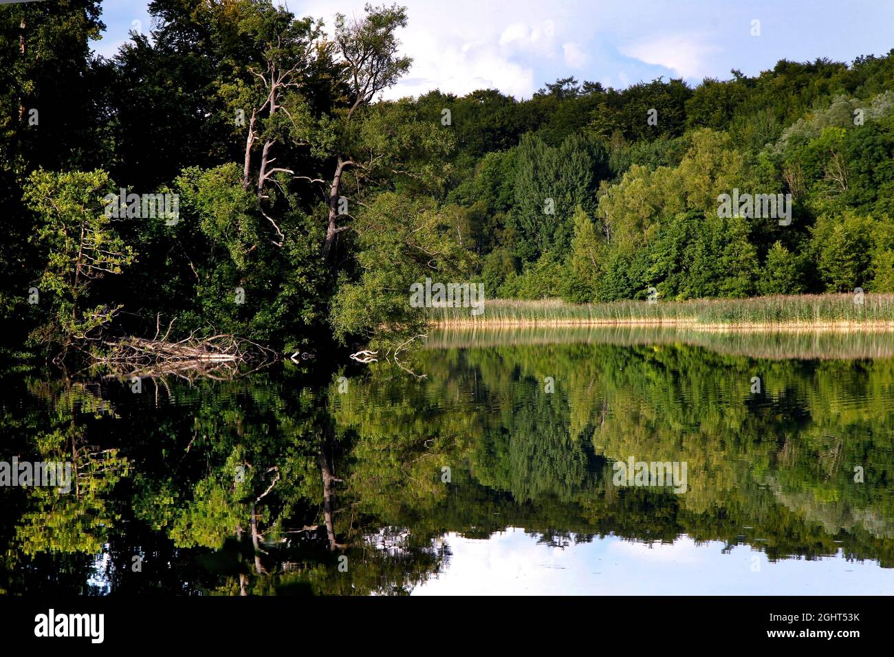 Natural landscape at the Schaalsee, UNESCO biosphere reserve, island, Kolonnenweg, Lochplattenweg, inner German border installation, Gruenes Band Stock Photo