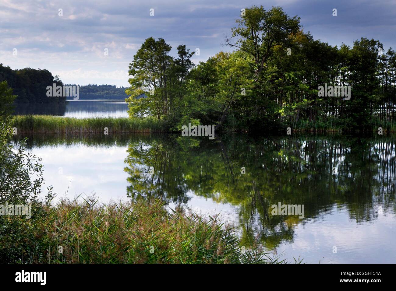 Natural landscape at the Schaalsee, UNESCO biosphere reserve, island, Kolonnenweg, Lochplattenweg, inner German border installation, Gruenes Band Stock Photo
