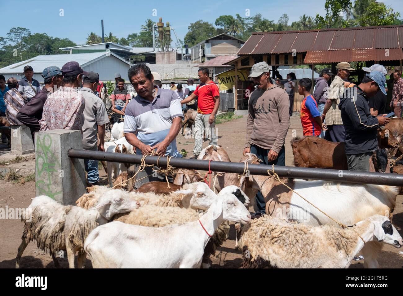 Animal market on Java Island, Indonesia Stock Photo