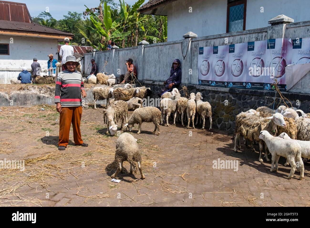 Animal market on Java Island, Indonesia Stock Photo Alamy