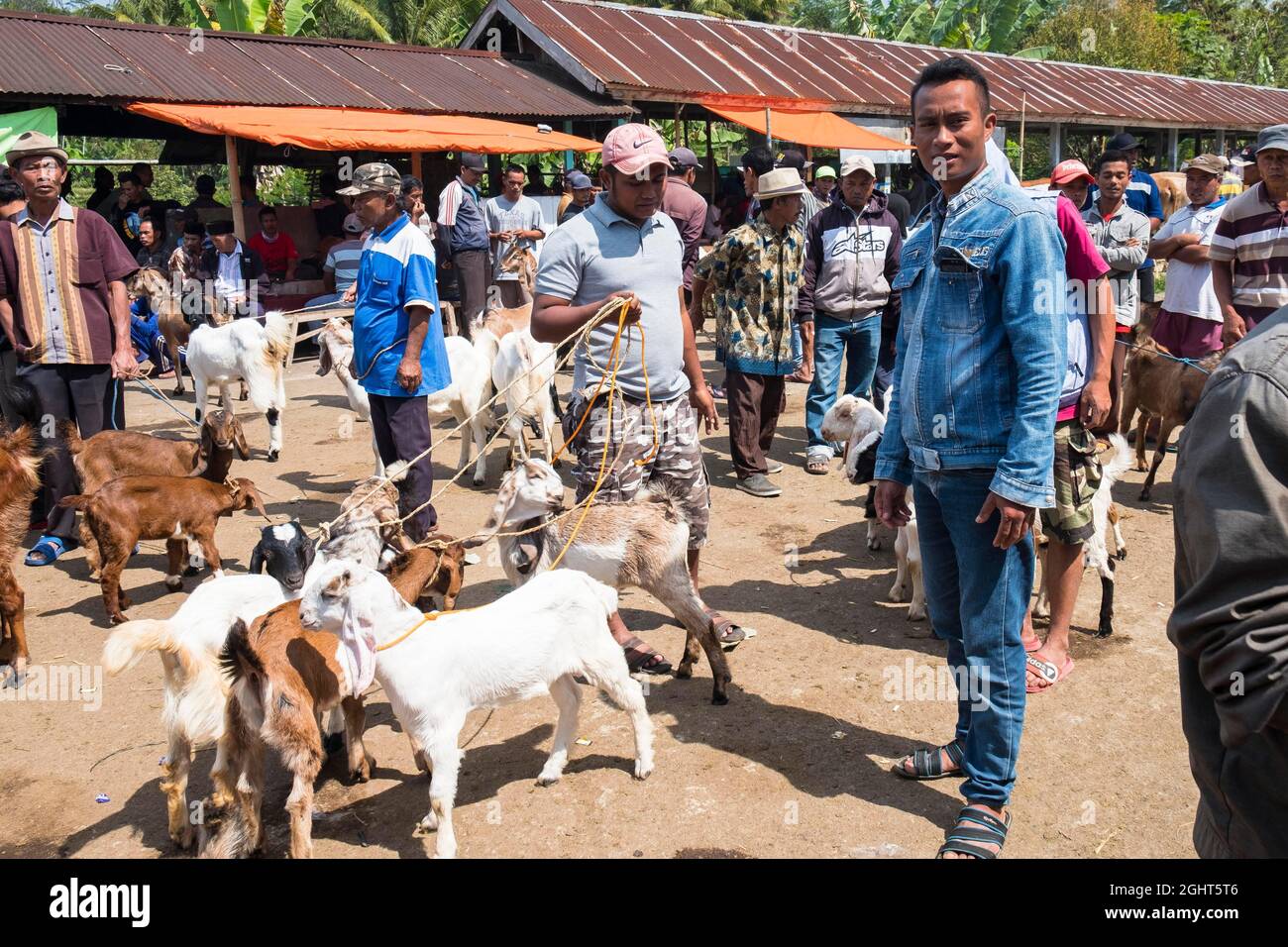Animal market on Java Island, Indonesia Stock Photo Alamy
