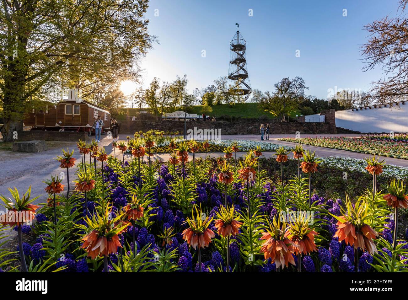 Nord Stuttgart Germany SG Hamburg-Nord’s Recent Successes