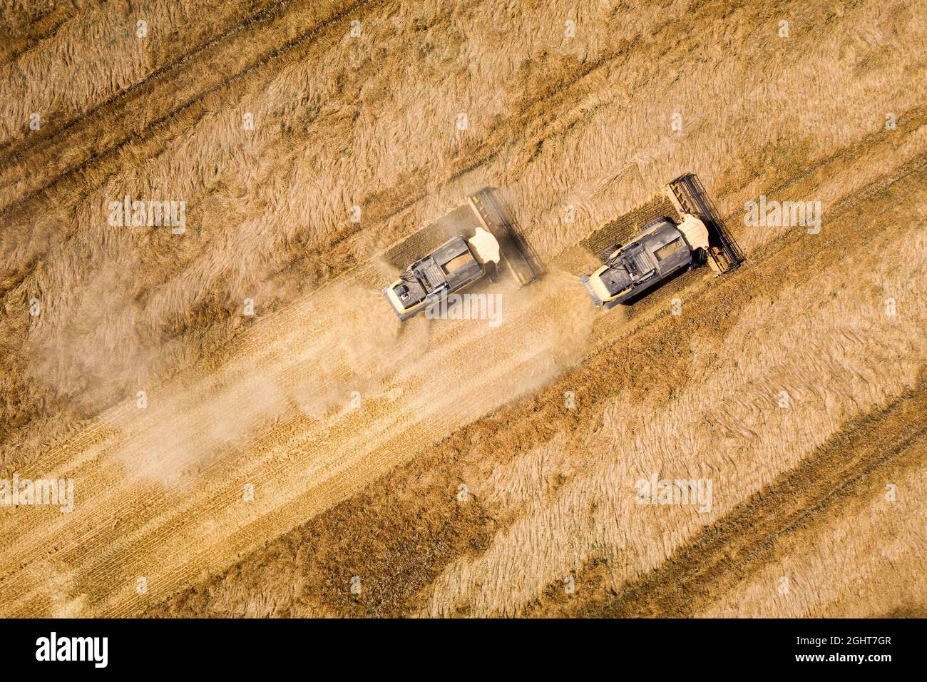 Aerial view of combine harvesters harvesting large yellow ripe wheat ...