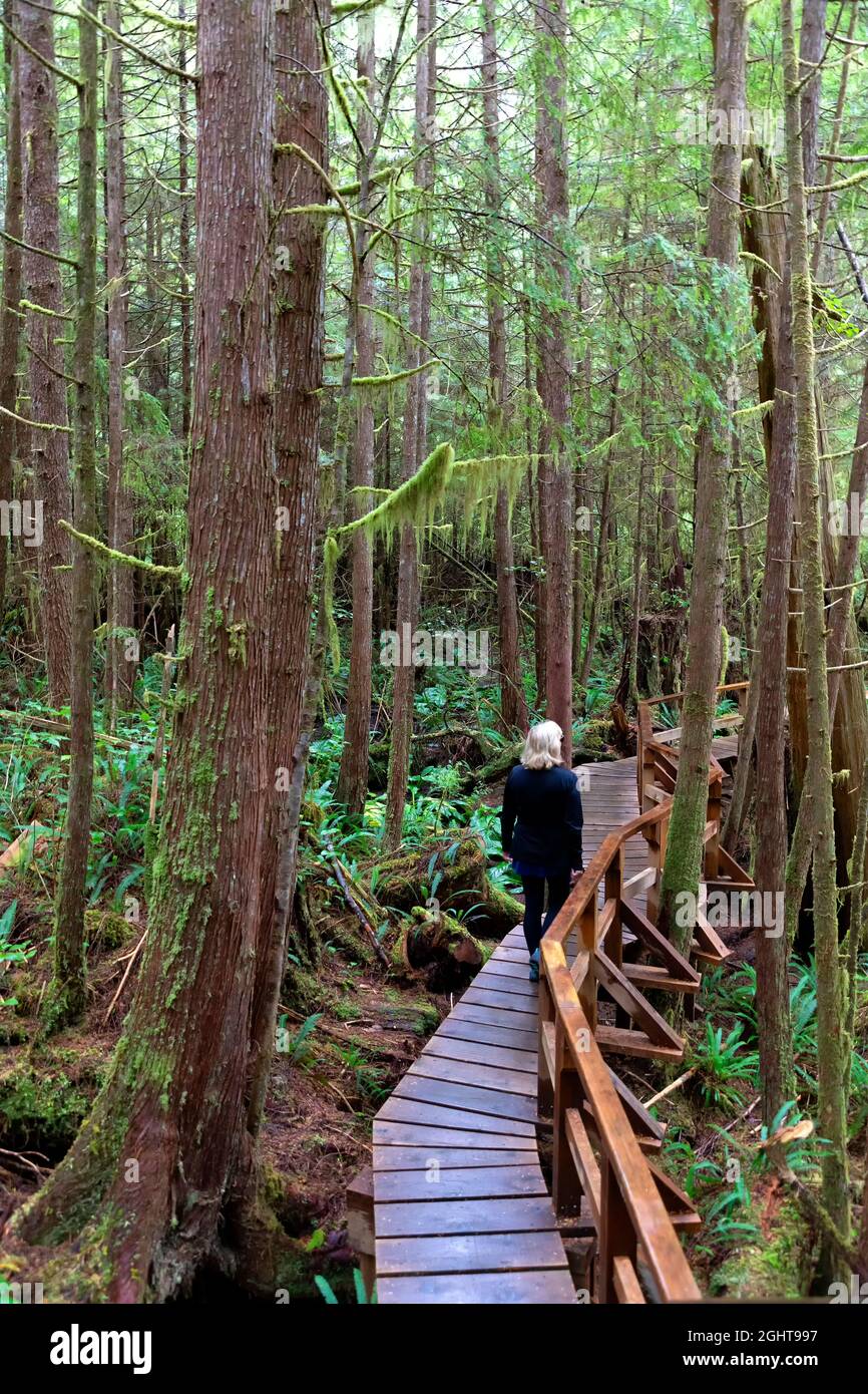 Path through rain forest trail. Pacific Rim National Park, British Columbia Canada Stock Photo