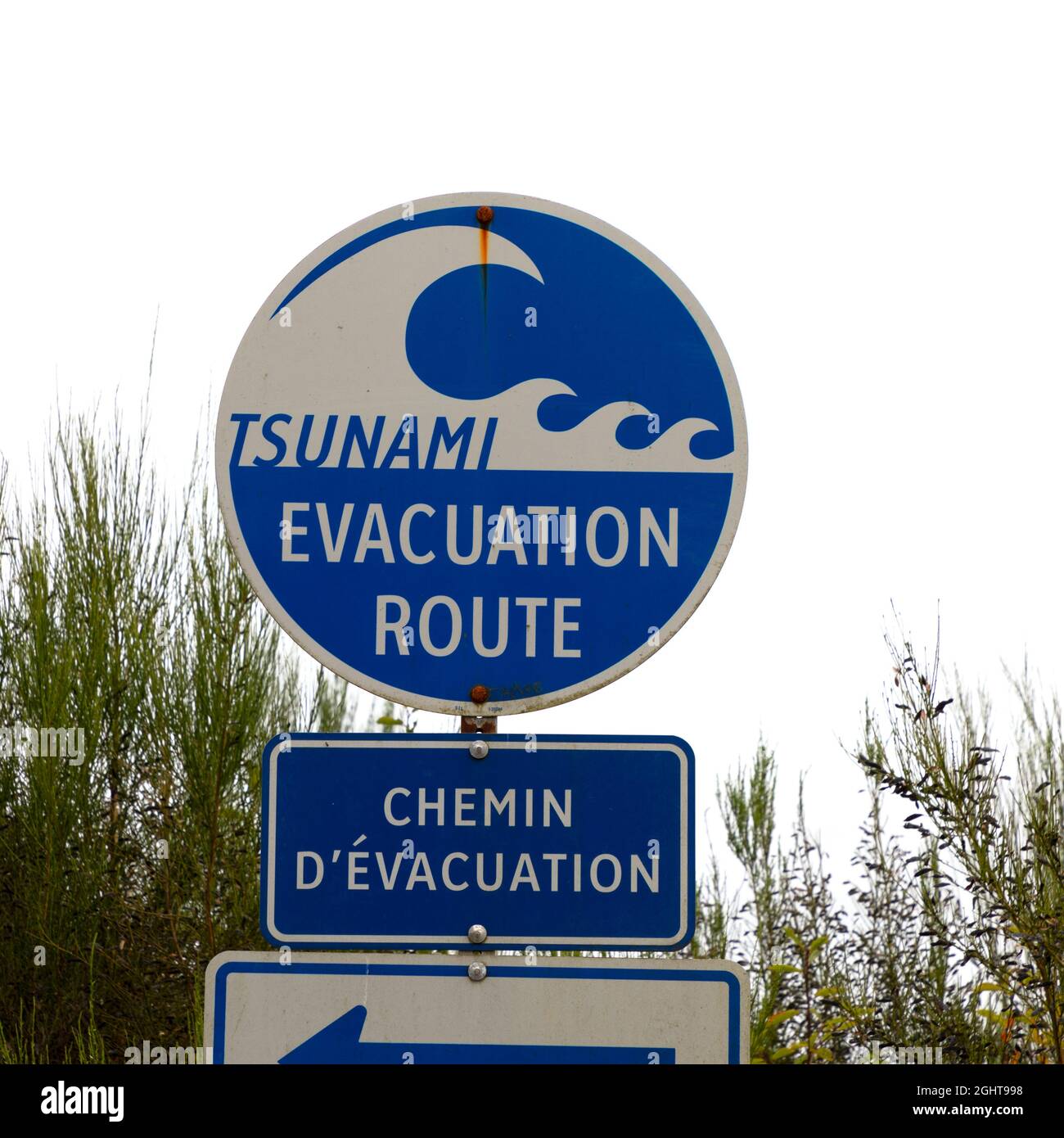 Tsunami Evacuation Route Highway Road Sign Vancouver Island British Columbia. Stock Photo