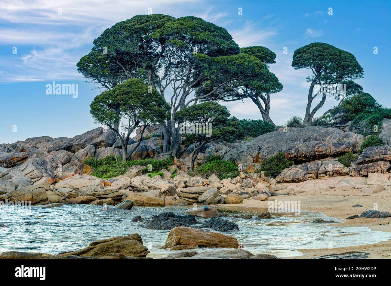 Trees and  rocky coastline at Bunker Bay, Dunsborough, Western Australia, Australia Stock Photo