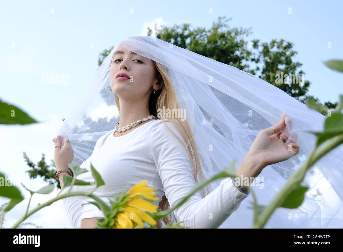 Teenage girl wearing a veil standing in a sunflower field, France Stock  Photo - Alamy