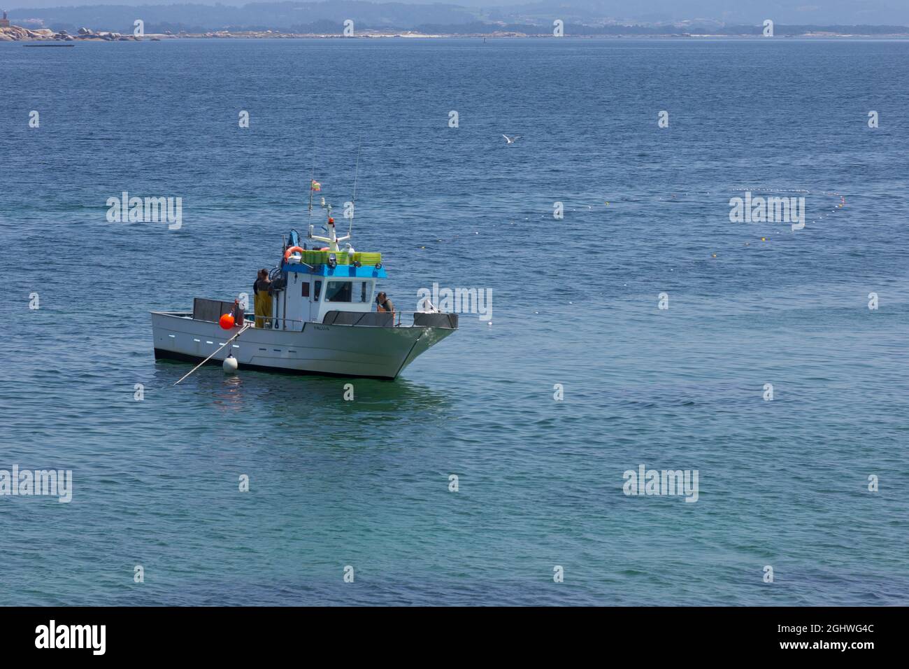 Fishing Boat Collecting Nets Full Of Fish Fishing Near The Coast Stock Photo Alamy