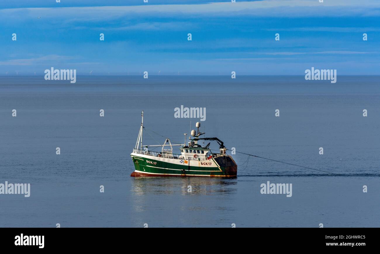 A selection of squid jigs, or lures. Squid fishing has become popular in  the UK both for commercial fishermen as well as recreational anglers. The  lur Stock Photo - Alamy