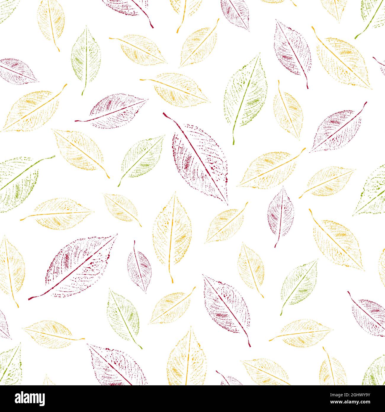 Seamless pattern of autumn leaves on white Stock Vector Image & Art - Alamy