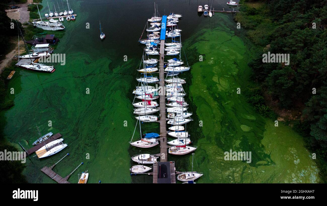 Aerial view of many ships and boats at the harbor Stock Photo - Alamy
